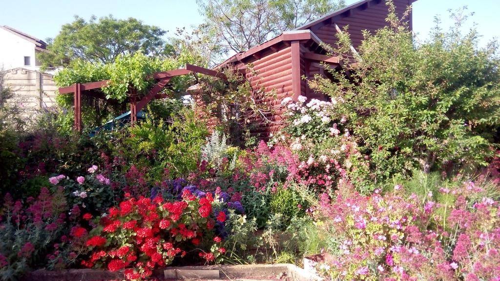 Hahar Aatzil Villa Hazon Bagian luar foto