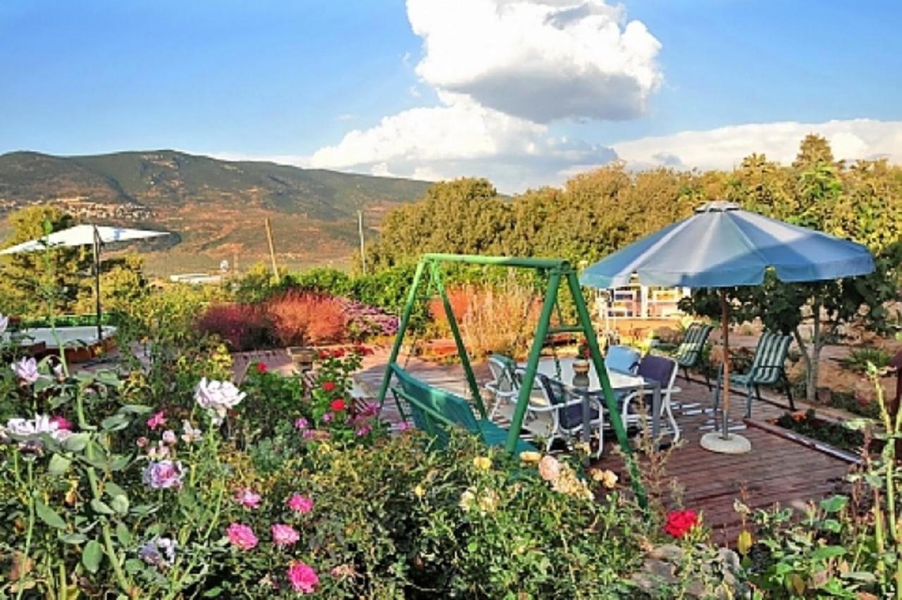 Hahar Aatzil Villa Hazon Bagian luar foto